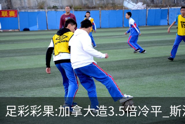 足彩彩果:加拿大造3.5倍冷平 斯洛伐克2-2黑山
